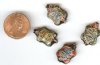4 18x12mm Black Cloisonn� Turtles